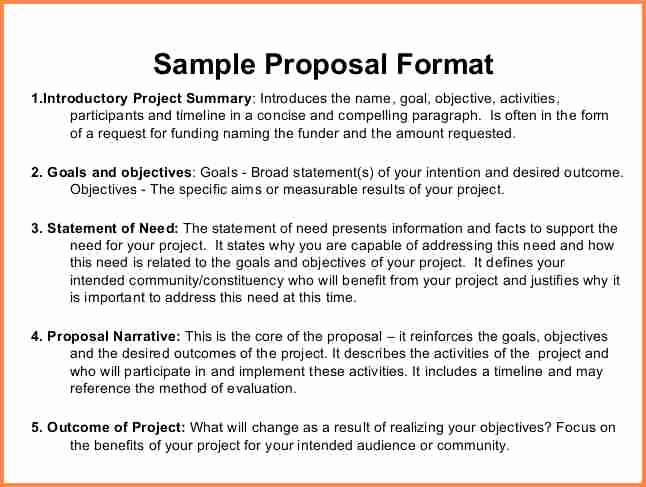 Artist Proposal Samples Lovely 6 Sample Of Funding Proposal Project
