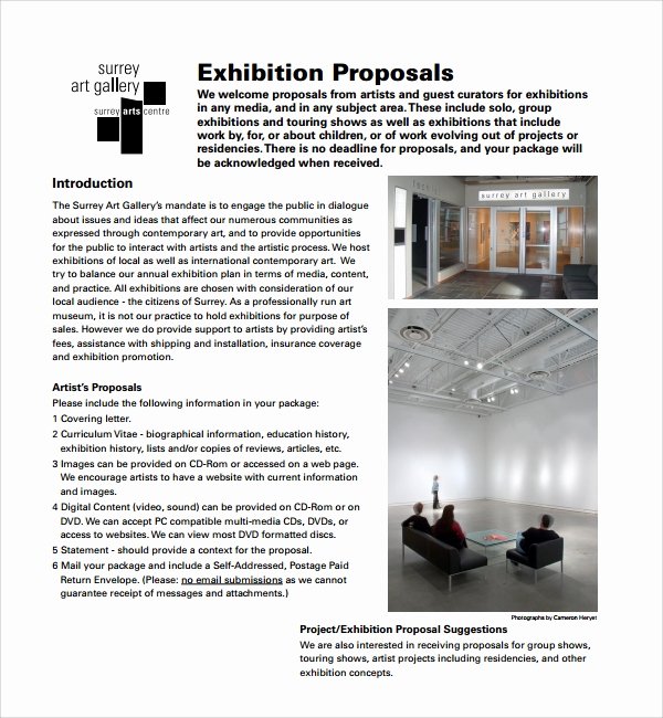 Artist Proposal Samples New 10 Art Proposal Templates Pdf Word Pages