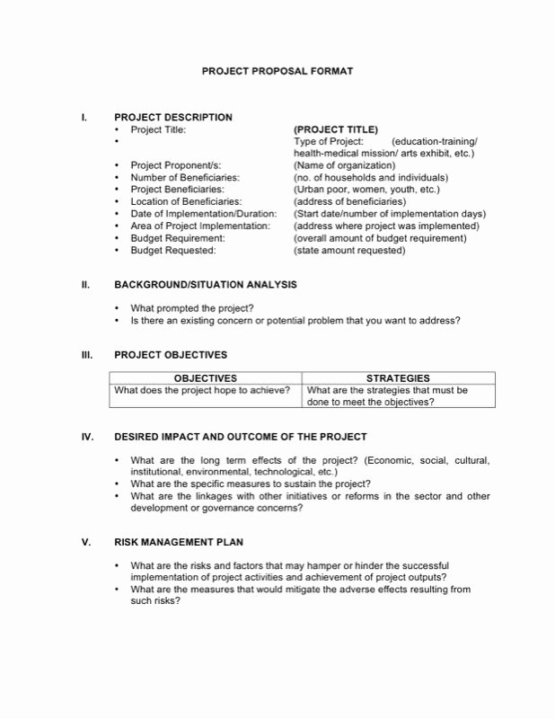 Artist Proposal Template Unique Project Proposal format