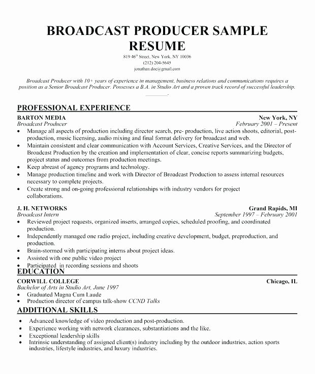 Audio Engineer Resume Sample Elegant Discreetliasons