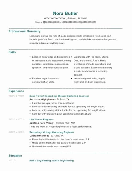 Audio Engineer Resume Sample Inspirational Discreetliasons