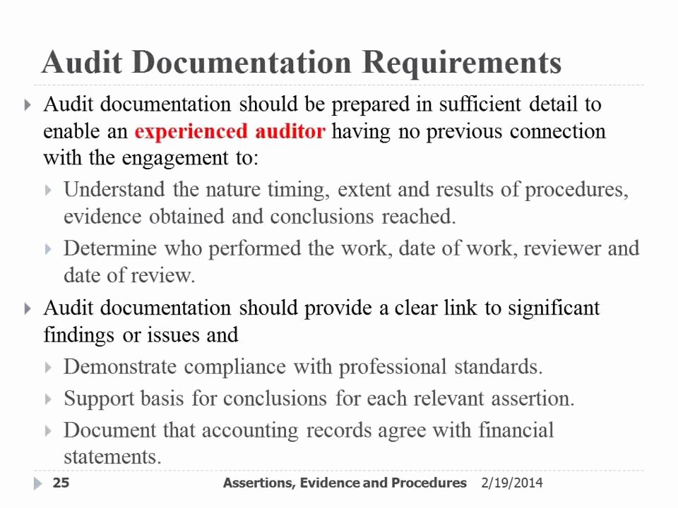 Audit Documentation Example Luxury Audit Documentation and Purpose