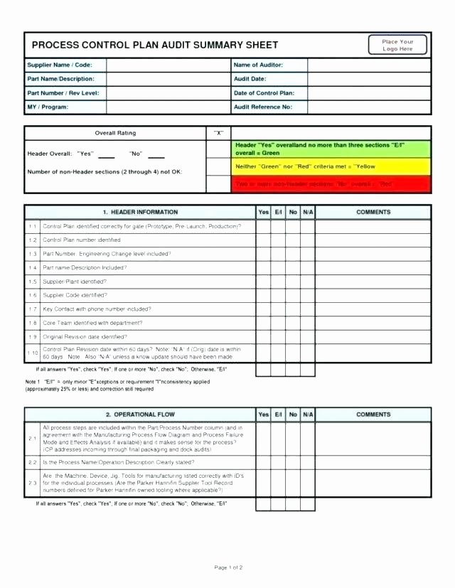 Audit Template Excel Elegant Audit Plan Template Samancinetonicco