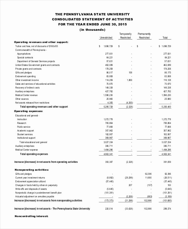 Audited Financial Statements Sample Fresh Financial Statement 20 Free Sample Example format