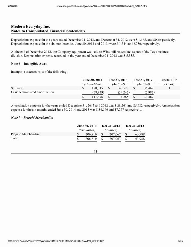 Audited Financial Statements Sample Unique Audited Financial Statements Of Modern Everyday Inc