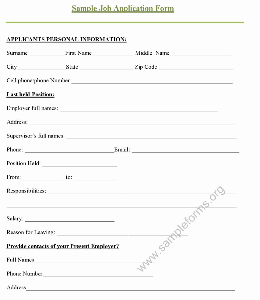 Basic Job Application Inspirational 9 Job Application Review form Examples Pdf