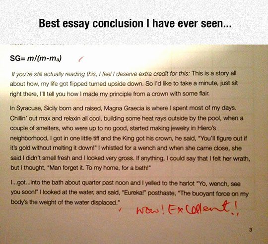 Best Essays Ever Written Awesome Best Essays Ever Wolf Group