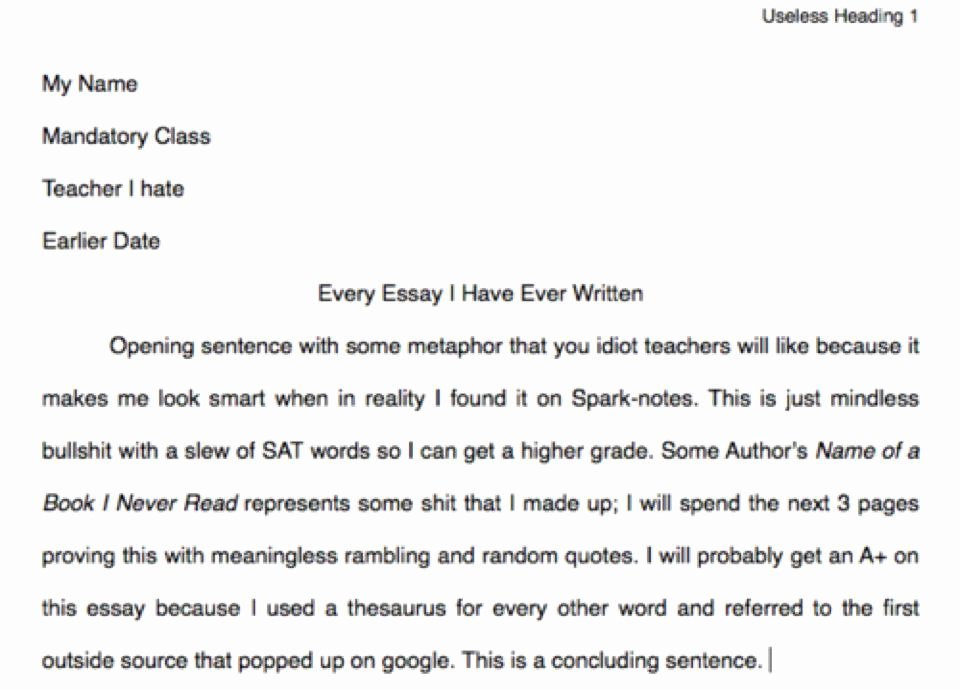 Best Essays Ever Written Fresh English Essays for College Students 24 7 College Homework