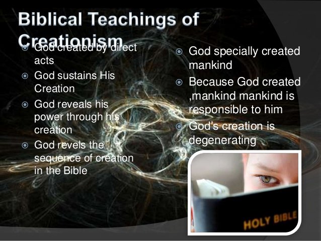 Biblical Worldview Essay Bibl 104 Unique Creationists Vs Evolutionism Writerquest X Fc2