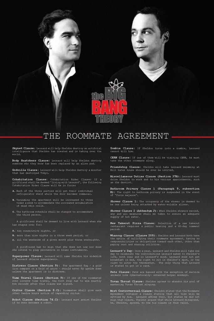 Big Bang theory Roommate Agreement Pdf Best Of 615 Best Images About the Big Bang theory On Pinterest