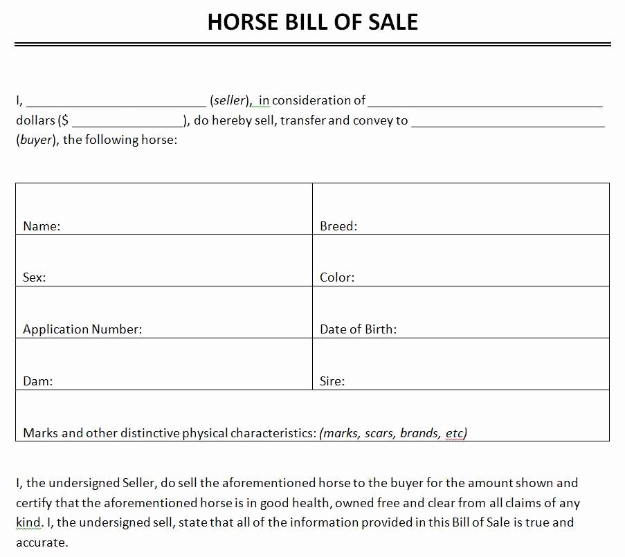 Bill Of Sale Template Free Unique Free Horse Bill Sale Template