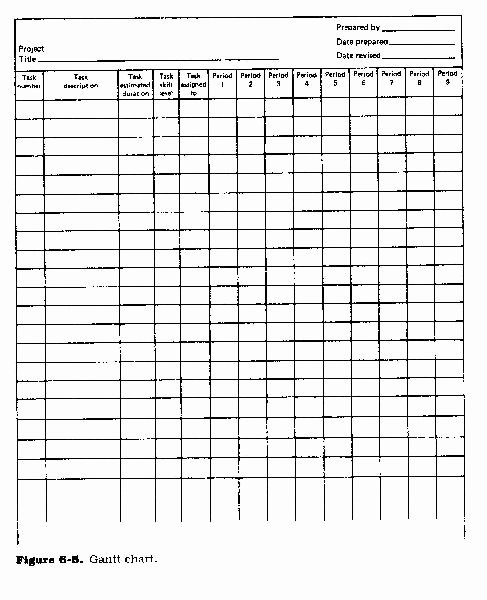 Blank 10 Column Worksheet Template Awesome 28 Of 6 Column Chart Template