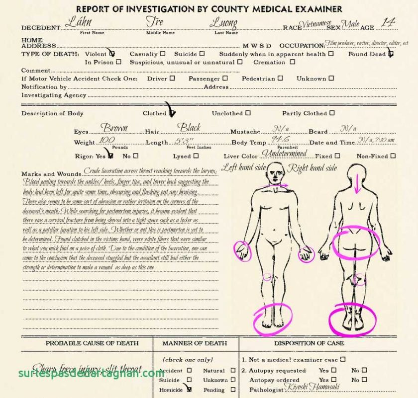 Blank Autopsy Report Template Inspirational Autopsy Report Template Blankat Example Uk Guidelines