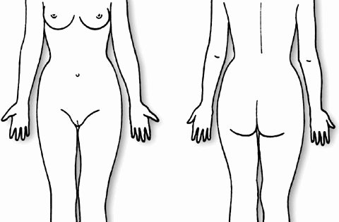 Blank Female Body Template Inspirational Body Diagram form Female