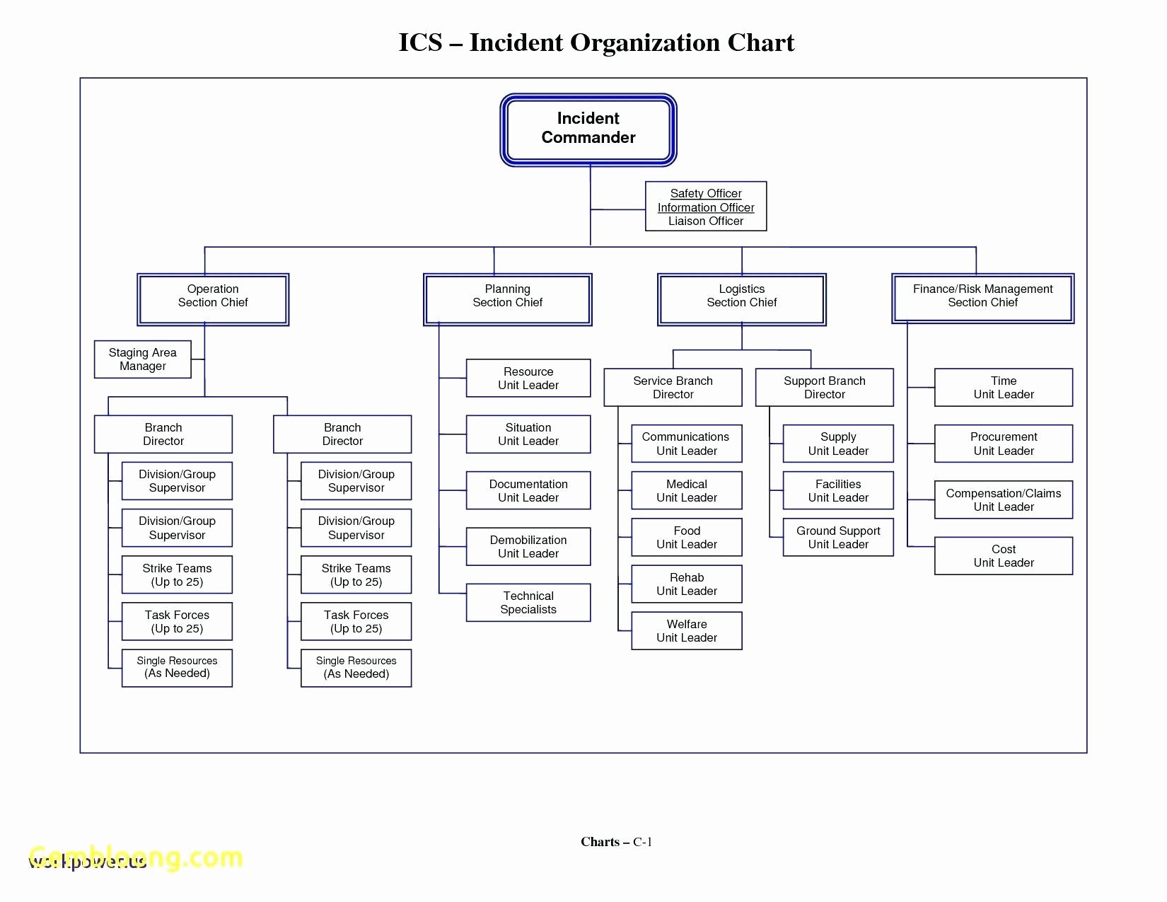 Blank Flow Chart Template for Word Elegant Nice Fillable Flow Chart Template Blank Flow Chart