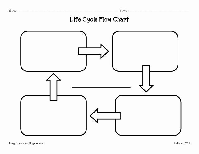 Blank Flow Chart Template for Word Inspirational Blank Flow Chart Template for Word Free Download Aashe