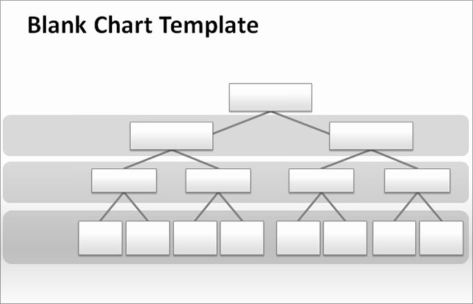 Blank Flowchart Templates Luxury Blank Chart Template Blank Chart