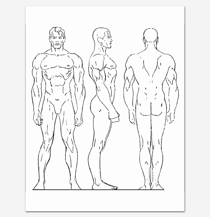 Blank Male Body Template Beautiful Human Body Outline Template 32 Printable Worksheets