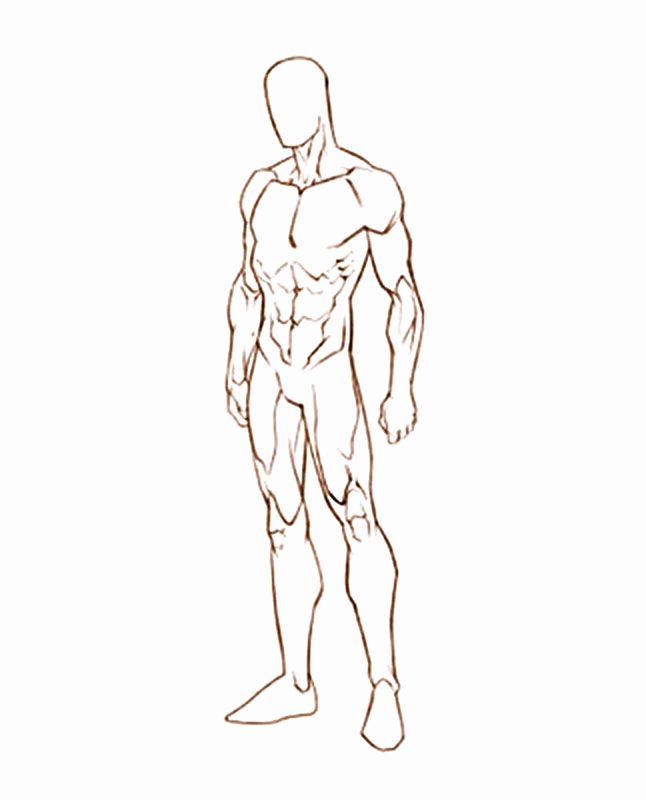 Blank Male Body Template Elegant Male Sketch Template Google Search