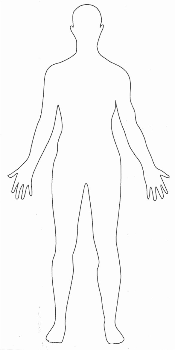 Blank Male Body Template Lovely 16 Human Body Outline Templates Doc Pdf