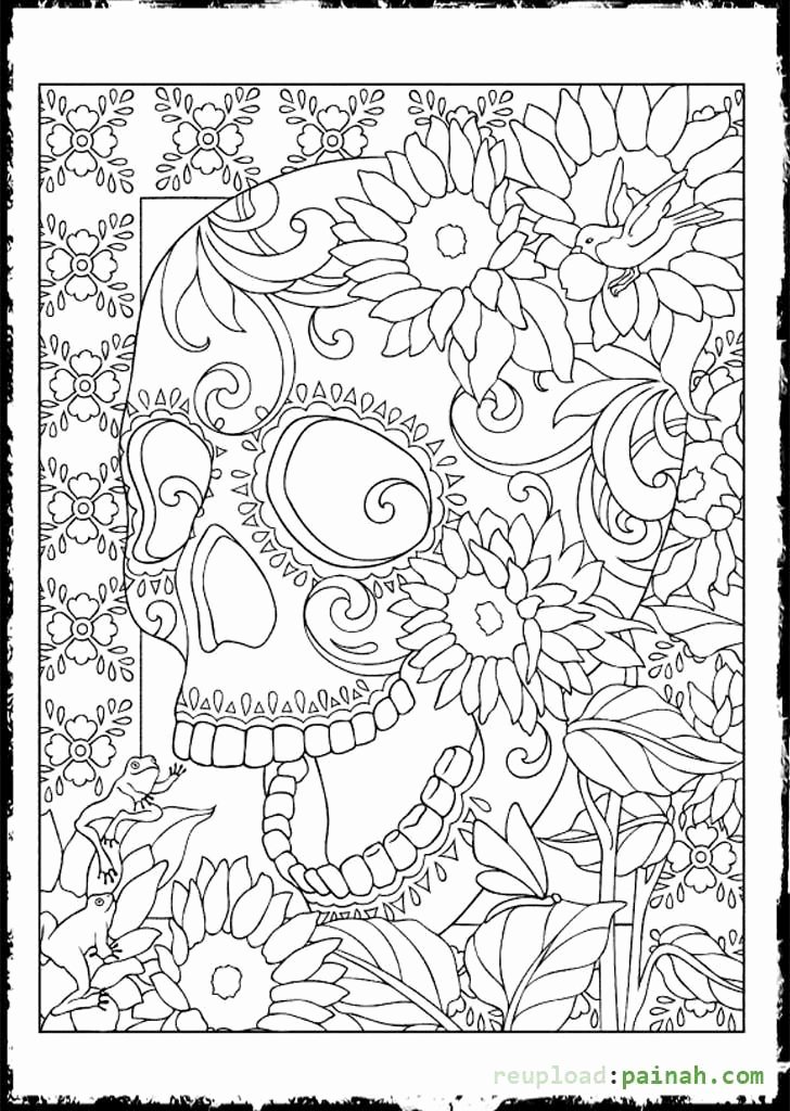 Blank Sugar Skull Template Fresh the 25 Best Skull Coloring Pages Ideas On Pinterest