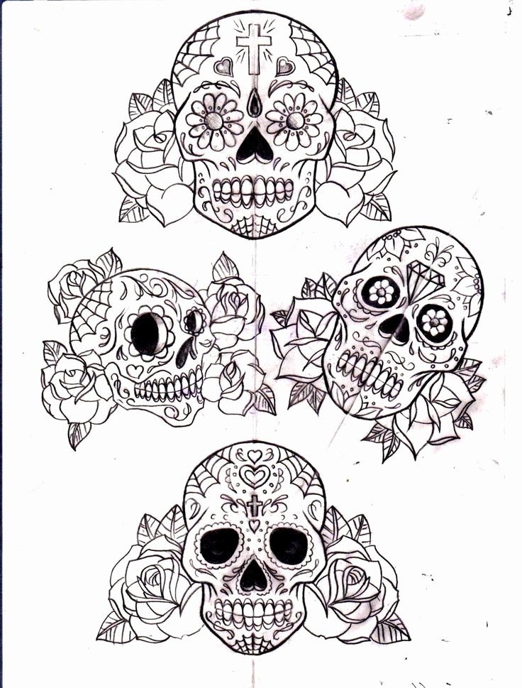 Blank Sugar Skull Template Inspirational 24 Best Sugar Skull Tattoo Outlines Images On Pinterest