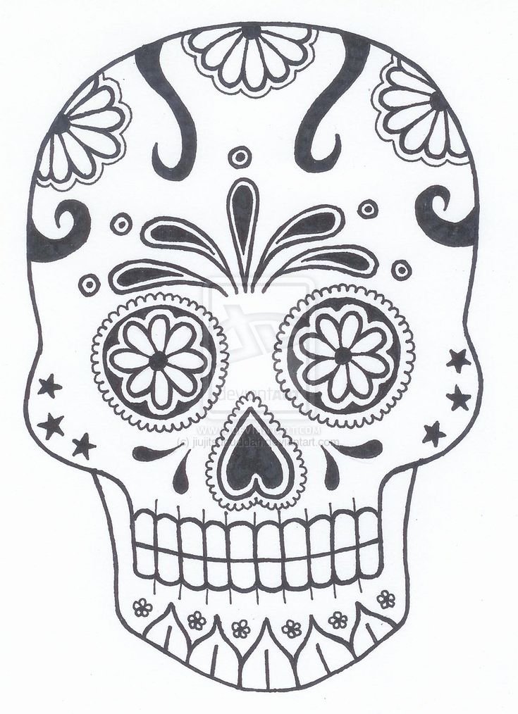 Blank Sugar Skull Template Lovely Best 25 Sugar Skull Pumpkin Ideas On Pinterest