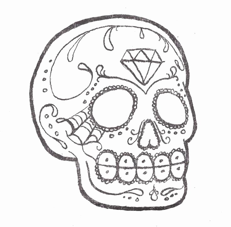 Blank Sugar Skull Template Unique Sugar Skull Outline