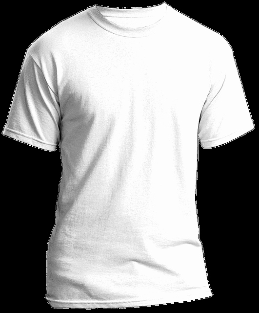 Blank Tshirt Template Inspirational Blank T Shirts White Shirt · Free Image On Pixabay