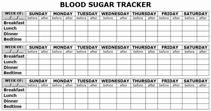 Blood Sugar Log Template Excel Awesome 5 Free Printable Blood Sugar Log Templates