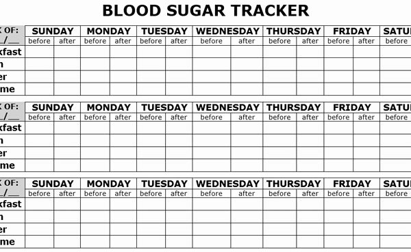 Blood Sugar Log Template Excel Awesome Blood Sugar Log Template In Pdf format Excel Template