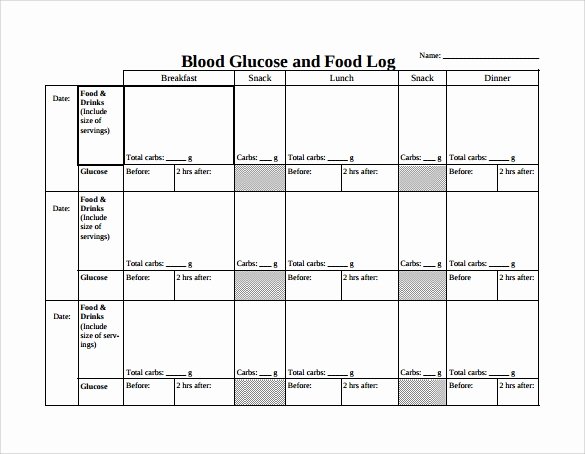 Blood Sugar Log Template Excel Luxury Food Log Template 15 Download Free Documents In Pdf