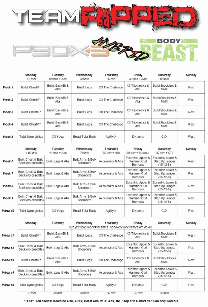 Body Beast Meal Plan Spreadsheet Best Of 25 Best Ideas About P90x Worksheets On Pinterest