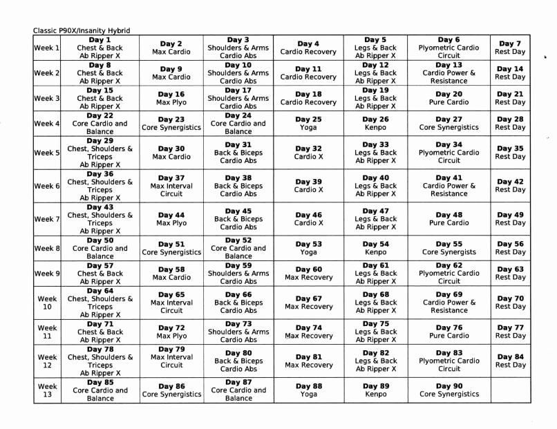 Body Beast Meal Plan Spreadsheet Best Of P90x and Insanity Hybrid Workout Schedule