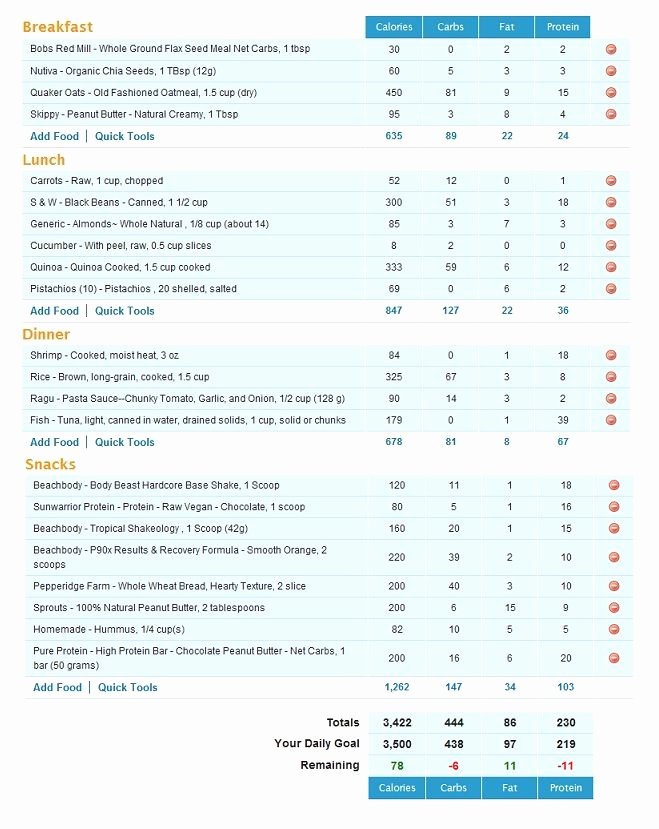 Body Beast Meal Plan Spreadsheet Elegant 18 Best Body Beast Images On Pinterest