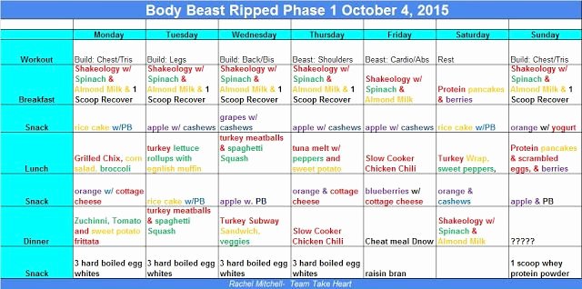 Body Beast Meal Plan Spreadsheet Inspirational Christmas Gift Guide