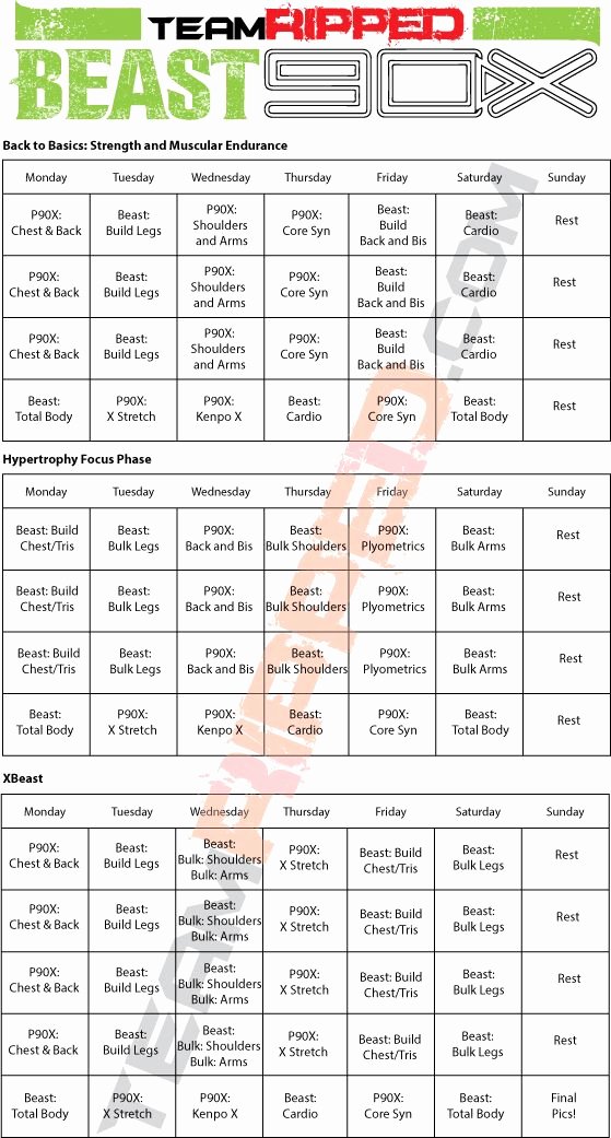 Body Beast Meal Plan Spreadsheet Inspirational P90x and Body Beast Hybrid Coach Wayne