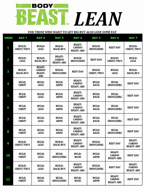 Body Beast Meal Plan Spreadsheet New Body Beast Day 1 Build Chest Tris Review