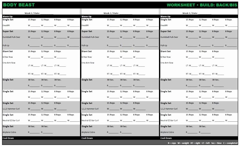 Body Beast Meal Plan Spreadsheet New Body Beast Workout Sheets Excel – Blog Dandk