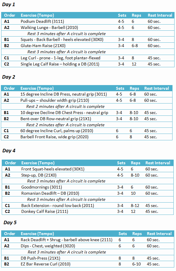 Bodybuilding Meal Plan Template Elegant Carb Cycling Diet Template Excel Drawtoday