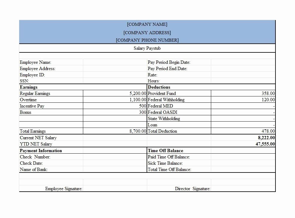 Bonus Plan Template Excel Beautiful 25 Great Pay Stub Paycheck Stub Templates