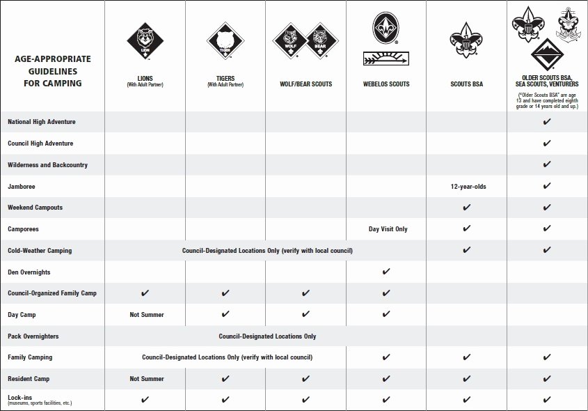 Boy Scout Duty Roster Template Fresh Camping