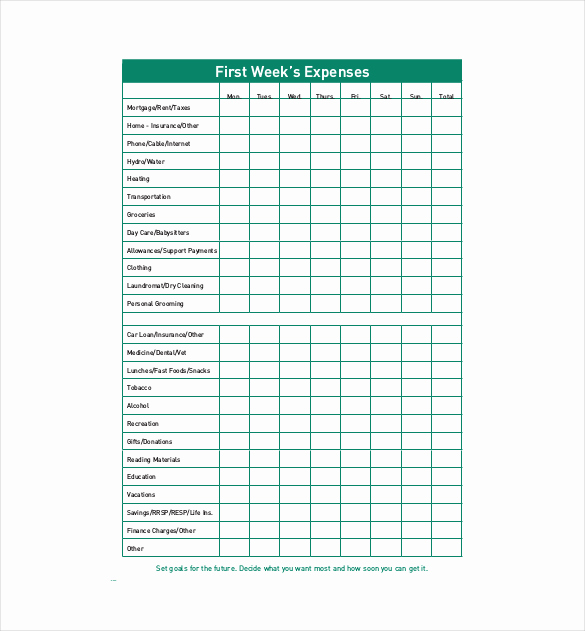 Budget Tracker Template Unique 12 Bud Tracking Templates – Free Sample Example