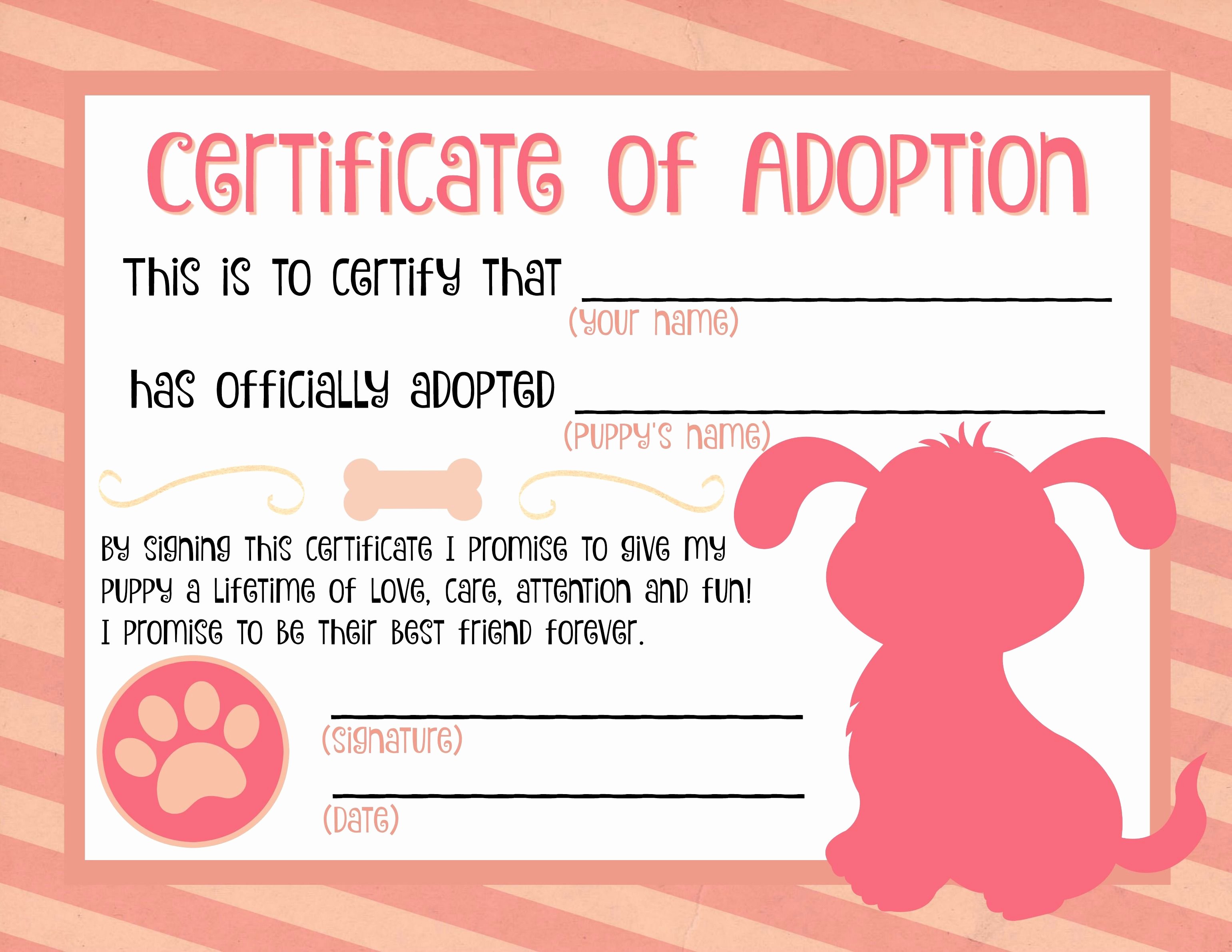 Build A Bear Birth Certificate Template Blank Best Of Best 25 Adoption Certificate Ideas On Pinterest