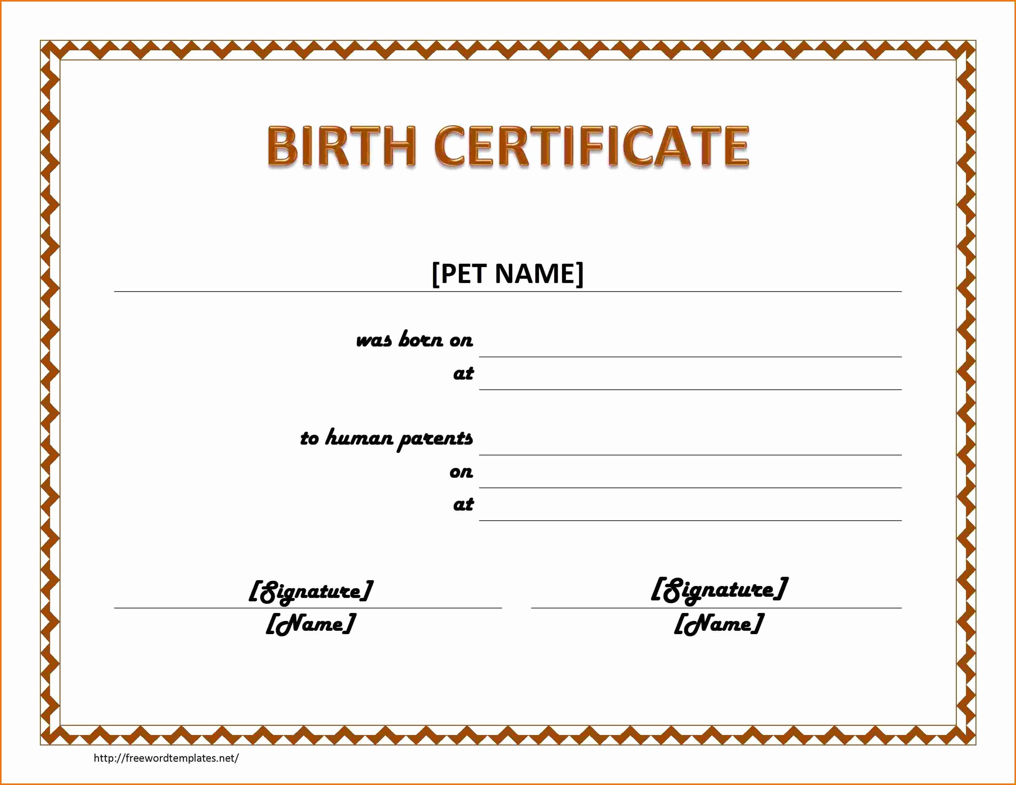 Build A Bear Birth Certificate Template Blank Best Of Birth Certificate Template for Microsoft Word