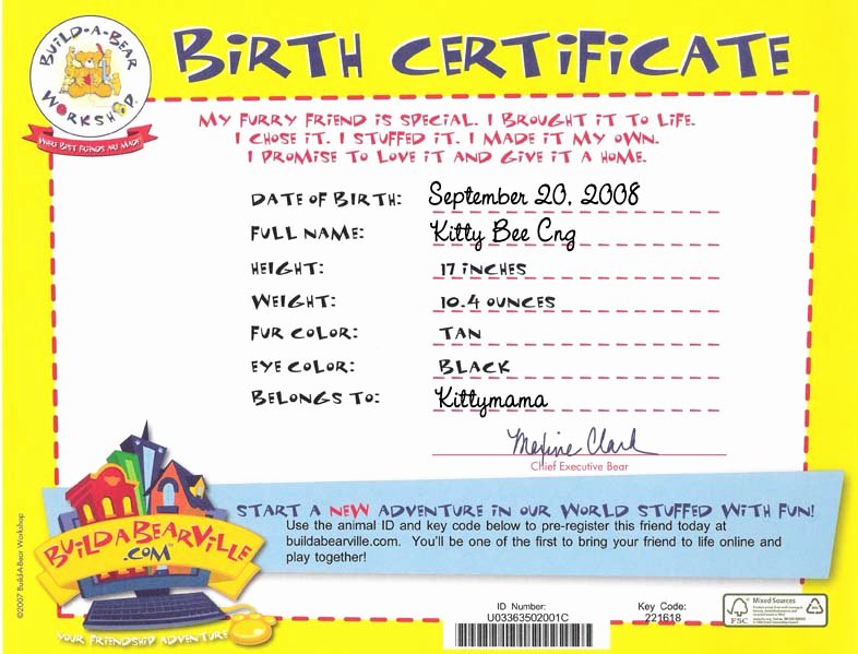 Build A Bear Birth Certificate Template Blank Elegant Kitty Kitty Bo Bitty