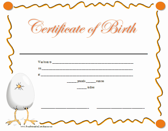 Build A Bear Birth Certificate Template Blank Luxury A Fun Printable Birth Certificate with A Graphic Of A Baby