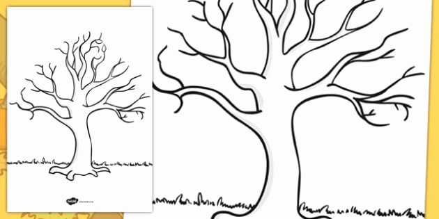 Bulletin Board Tree Template Beautiful Free Tree Template Ks1 Nature Drawing Resources