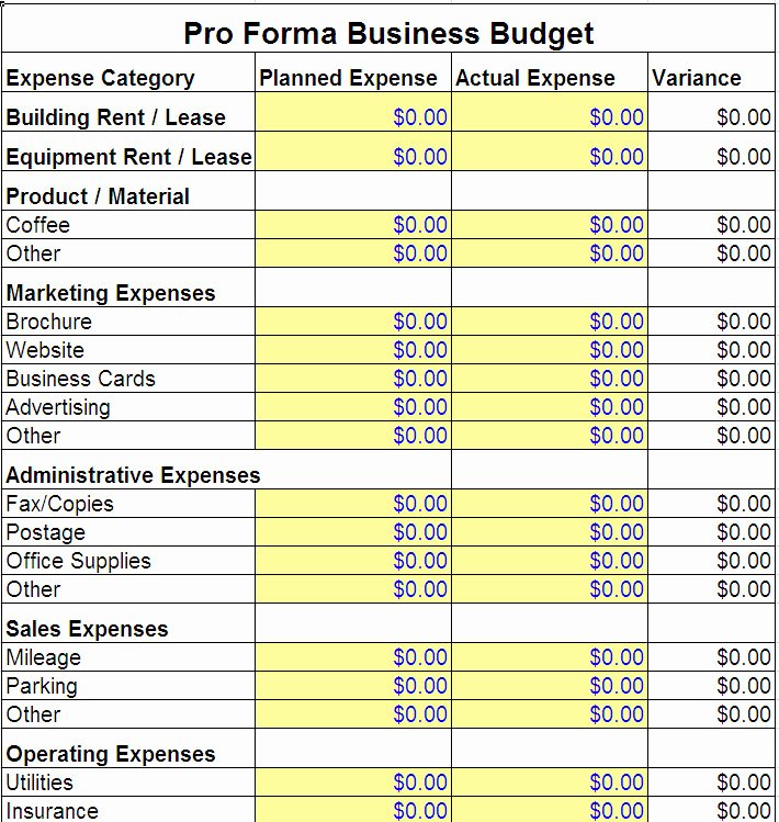 Business Budget Excel Template Unique Pro forma Business Bud Template