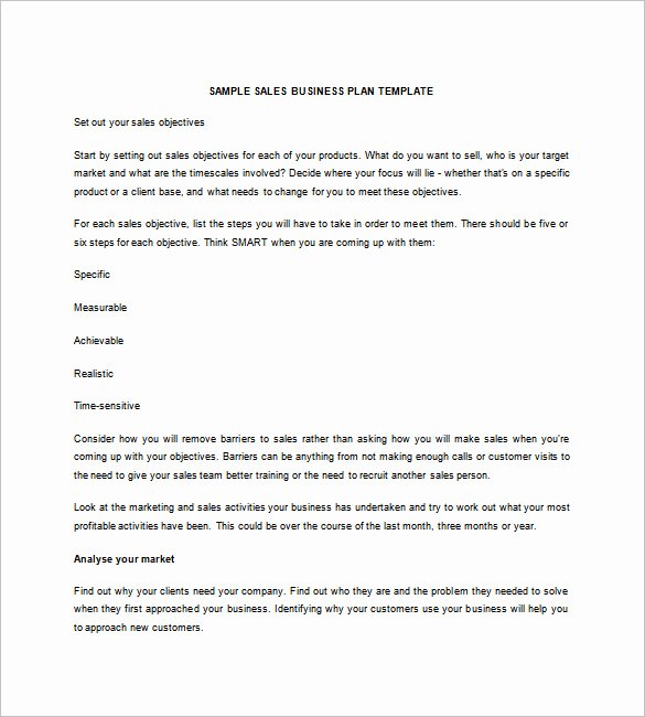 Business Prospectus Example Best Of Sales Business Plan Template 12 Pdf Word format